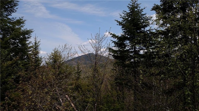 L5 Ackley Pond Rd, Mount Chase, ME 04765 - photo 9