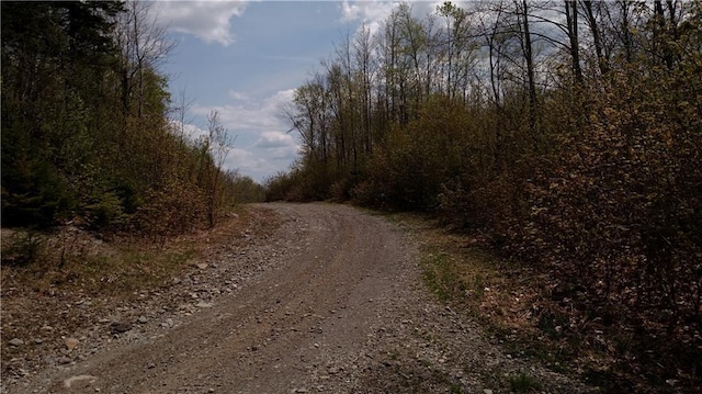 L5 Ackley Pond Rd, Mount Chase, ME 04765 - photo 13