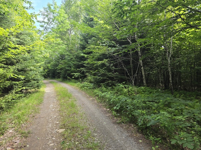 L5 Ackley Pond Rd, Mount Chase, ME 04765 - photo 7