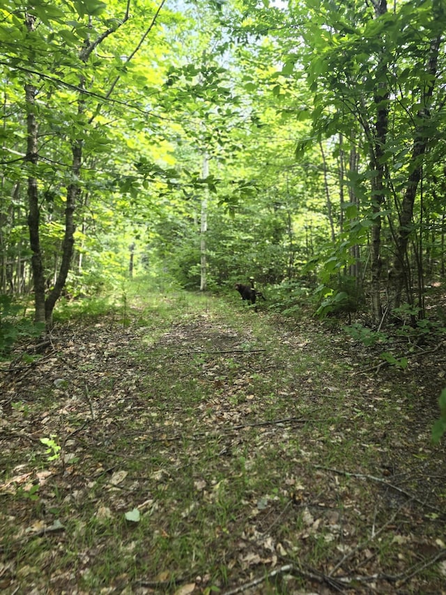 L5 Ackley Pond Rd, Mount Chase, ME 04765 - photo 14