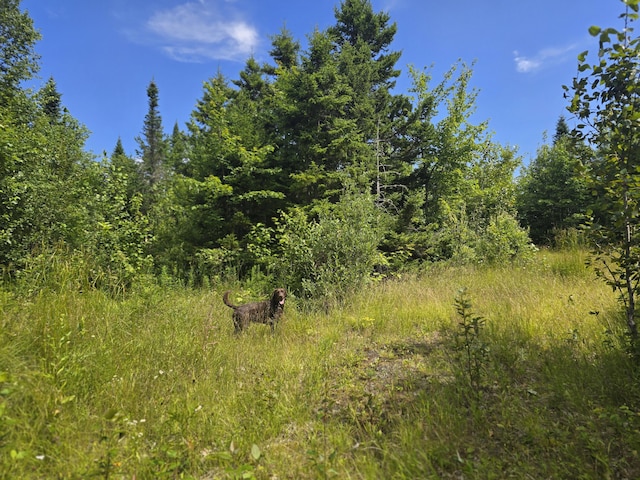 L5 Ackley Pond Rd, Mount Chase, ME 04765 - photo 6