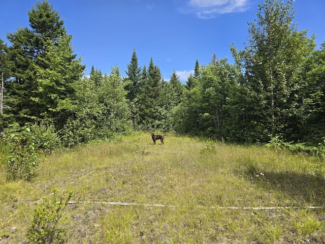 L5 Ackley Pond Rd, Mount Chase, ME 04765 - photo 5