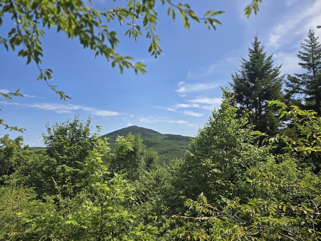L5 Ackley Pond Rd, Mount Chase, ME 04765 - photo 3