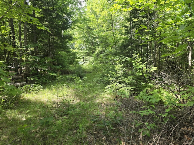 L5 Ackley Pond Rd, Mount Chase, ME 04765 - photo 18