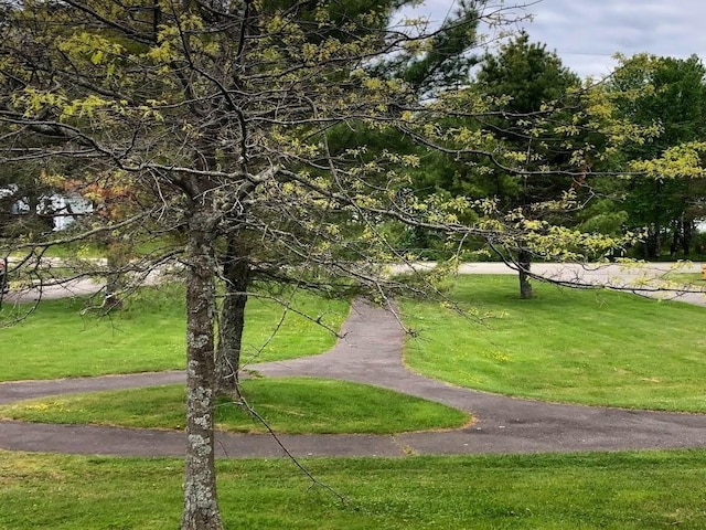 20 Misty Harbor Ln Unit 217, Cutler, ME 04626 - photo 22