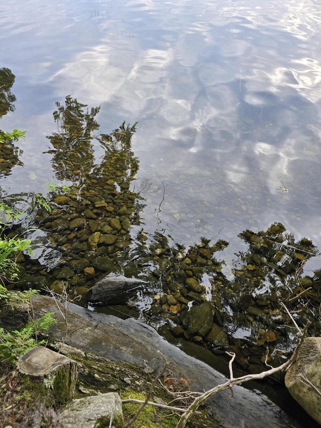 TBD Point Dr, Mount Vernon, ME 04349 - photo 8