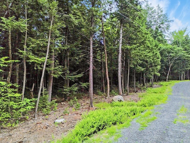 TBD Point Dr, Mount Vernon, ME 04349 - photo 10