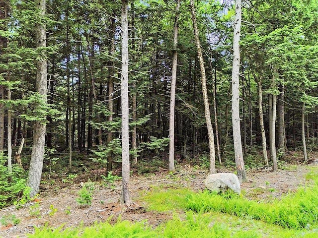 TBD Point Dr, Mount Vernon, ME 04349 - photo 11