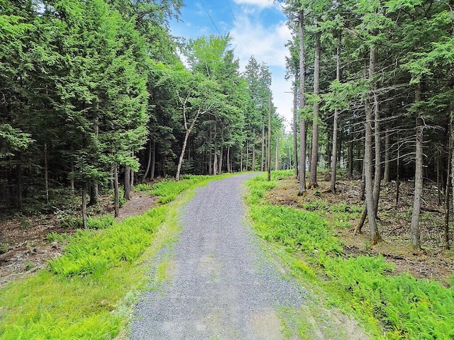 TBD Point Dr, Mount Vernon, ME 04349 - photo 12