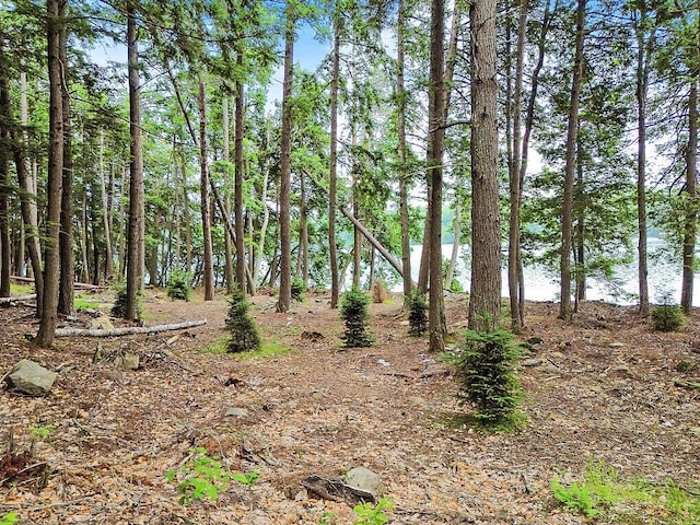 TBD Point Dr, Mount Vernon, ME 04349 - photo 2