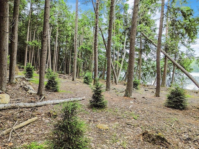 TBD Point Dr, Mount Vernon, ME 04349 - photo 15