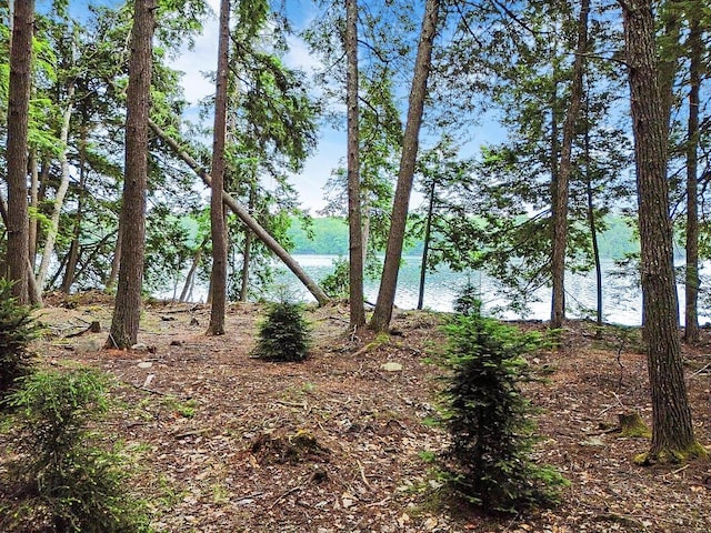 TBD Point Dr, Mount Vernon, ME 04349 - photo 14