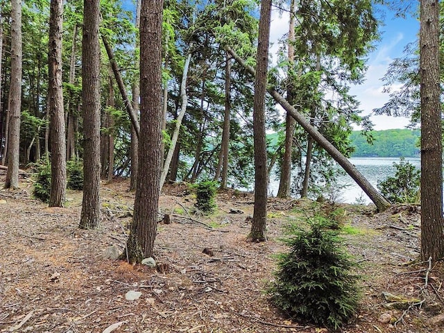 TBD Point Dr, Mount Vernon, ME 04349 - photo 16