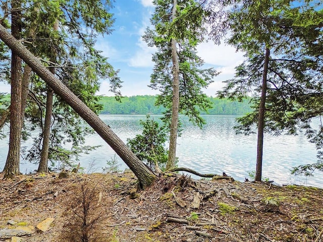 TBD Point Dr, Mount Vernon, ME 04349 - photo 1