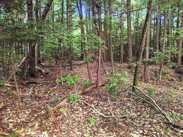 TBD Point Dr, Mount Vernon, ME 04349 - photo 17