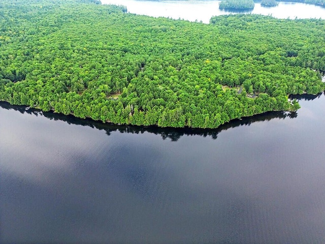 TBD Point Dr, Mount Vernon, ME 04349 - photo 18