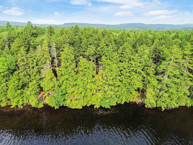 TBD Point Dr, Mount Vernon, ME 04349 - photo 4