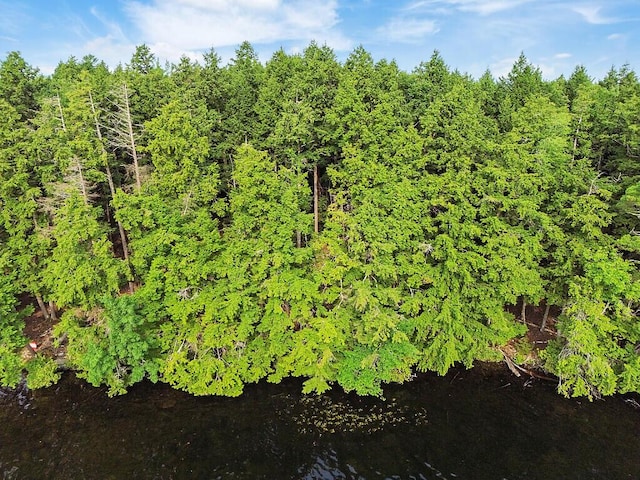 TBD Point Dr, Mount Vernon, ME 04349 - photo 27