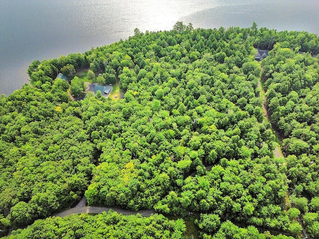 TBD Point Dr, Mount Vernon, ME 04349 - photo 35