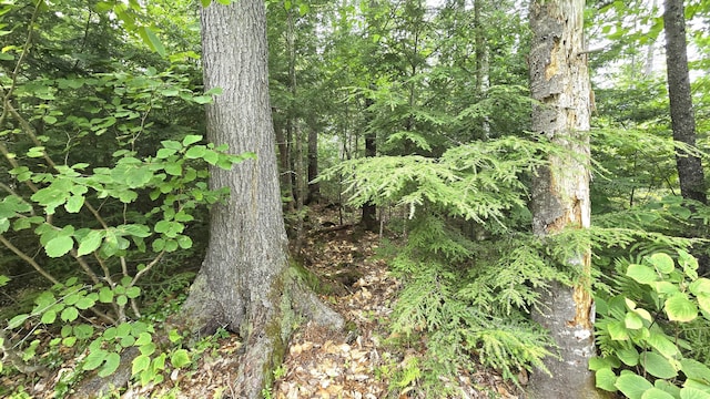 106 Cedar Lake Rd Unit T3 R9, Nwp, ME 04462 - photo 34