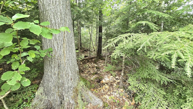 106 Cedar Lake Rd Unit T3 R9, Nwp, ME 04462 - photo 35