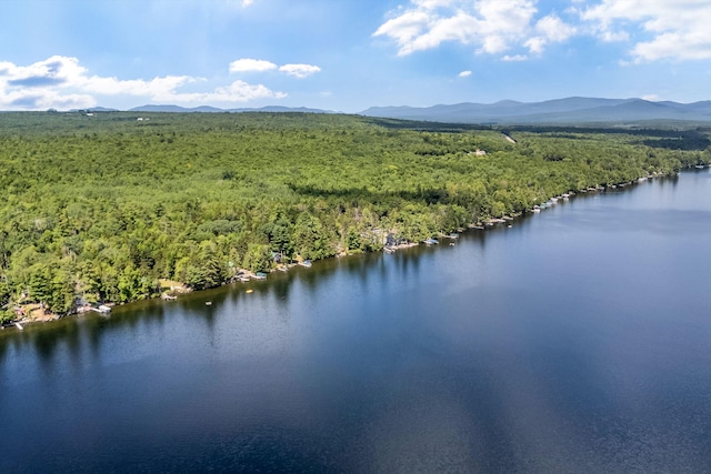 25 Loon Dr, Brownville, ME 04414 - photo 38