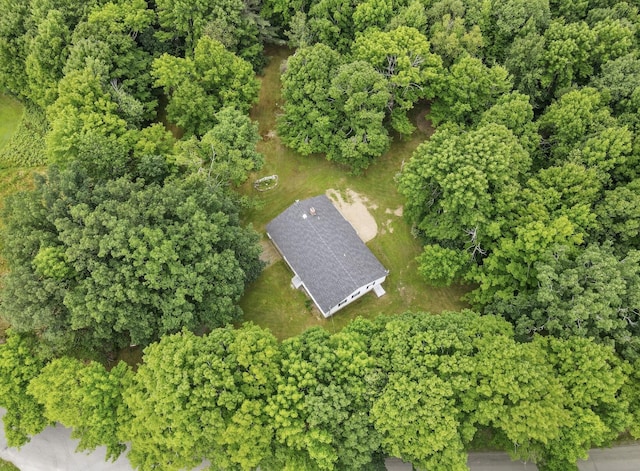 1303 Bear Hill Rd, Dover-Foxcroft, ME 04426 - photo 3