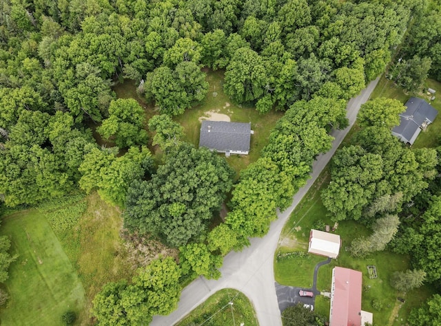 1303 Bear Hill Rd, Dover-Foxcroft, ME 04426 - photo 4