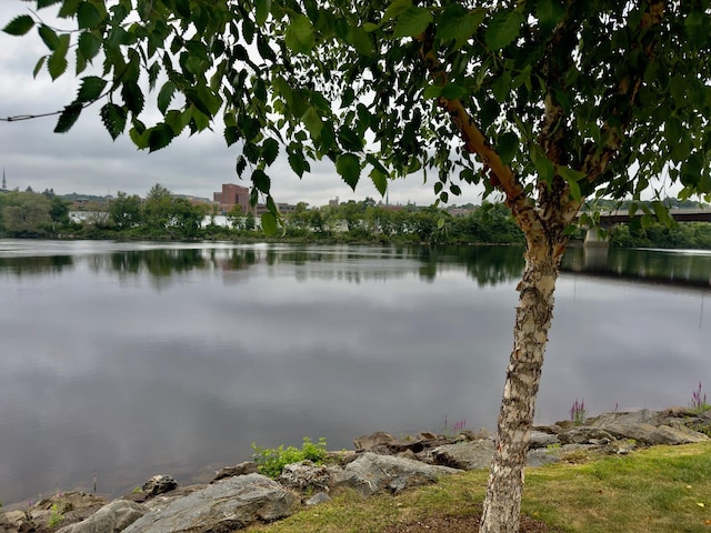 245 Eastern Ave, Brewer, ME 04412 - photo 80