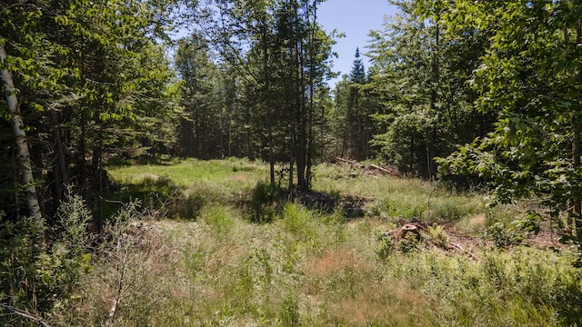 000 Day Rd, Garland, ME 04939 - photo 6