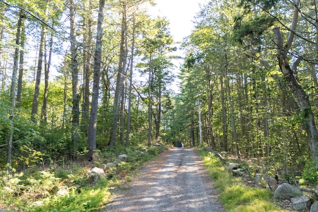 18 Josiah Norton Rd, York, ME 03902 - photo 42