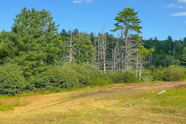 173 Kimball Corner Rd, Sebago, ME 04029 - photo 35