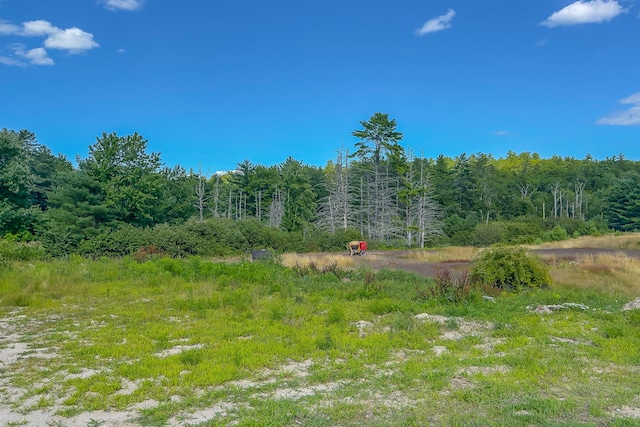 173 Kimball Corner Rd, Sebago, ME 04029 - photo 6