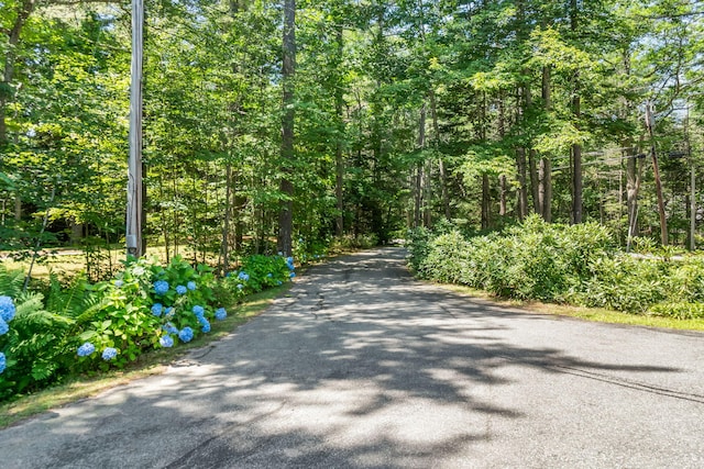 146 Oak Ledge Rd, Harpswell, ME 04079 - photo 55