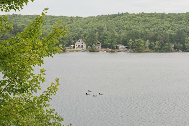 13 Osprey Ln, Shapleigh, ME 04076 - photo 37