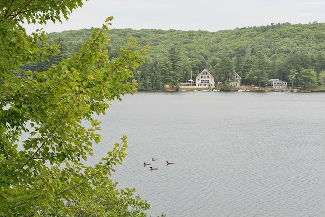 13 Osprey Ln, Shapleigh, ME 04076 - photo 38
