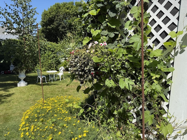 66 High St, Eastport, ME 04631 - photo 12