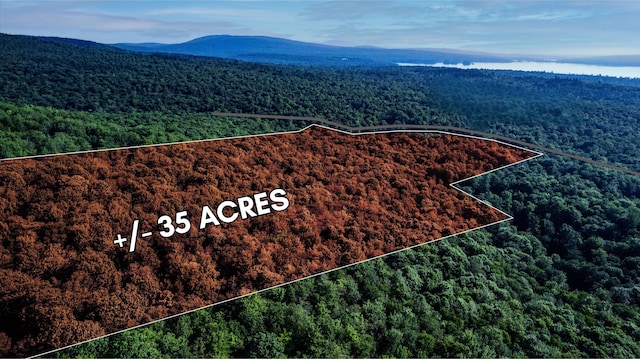 LOT035 Towering Hts, Orland, ME 04472 - photo 1
