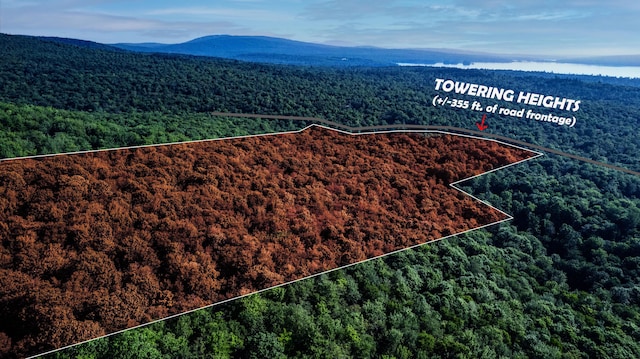 LOT035 Towering Hts, Orland, ME 04472 - photo 2