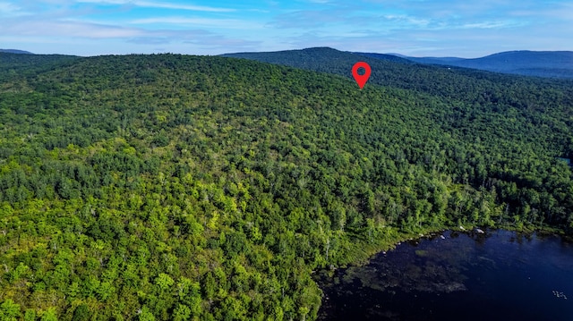LOT035 Towering Hts, Orland, ME 04472 - photo 5