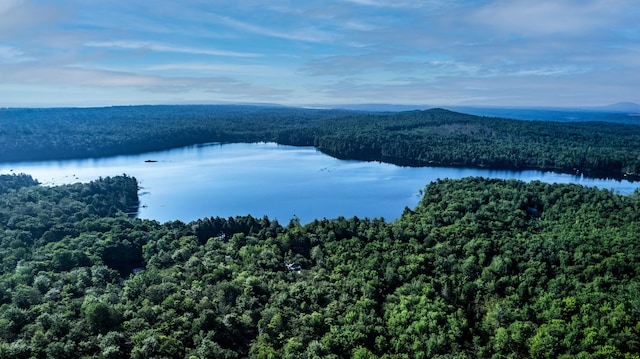 LOT035 Towering Hts, Orland, ME 04472 - photo 6