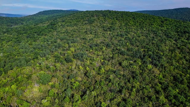 LOT035 Towering Hts, Orland, ME 04472 - photo 7