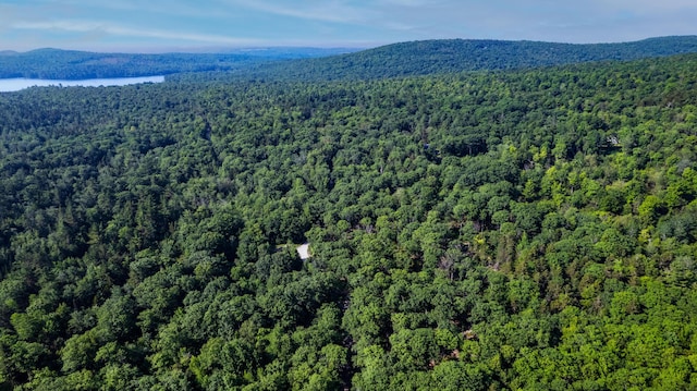 LOT035 Towering Hts, Orland, ME 04472 - photo 8