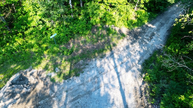 LOT035 Towering Hts, Orland, ME 04472 - photo 10