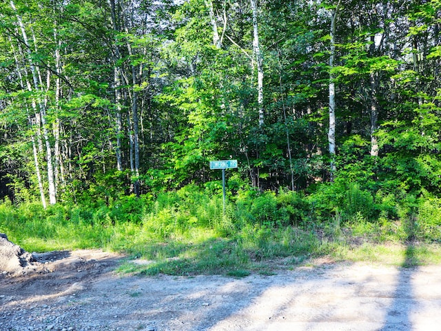 LOT035 Towering Hts, Orland, ME 04472 - photo 11
