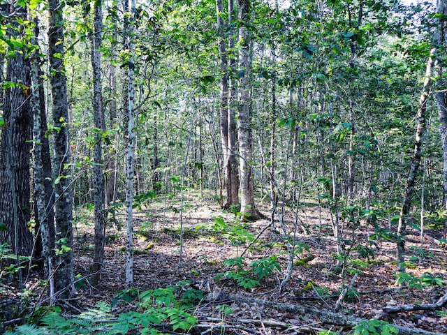 LOT035 Towering Hts, Orland, ME 04472 - photo 12