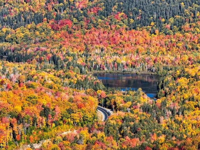 M08LOT32 Main St, Sandy River Plt, ME 04970 - photo 2