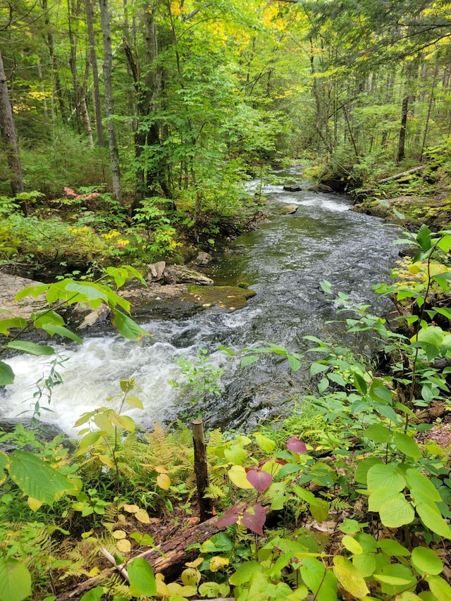 M08LOT32 Main St, Sandy River Plt, ME 04970 - photo 3