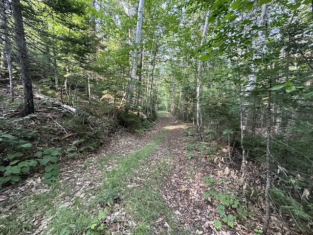 M08LOT32 Main St, Sandy River Plt, ME 04970 - photo 6