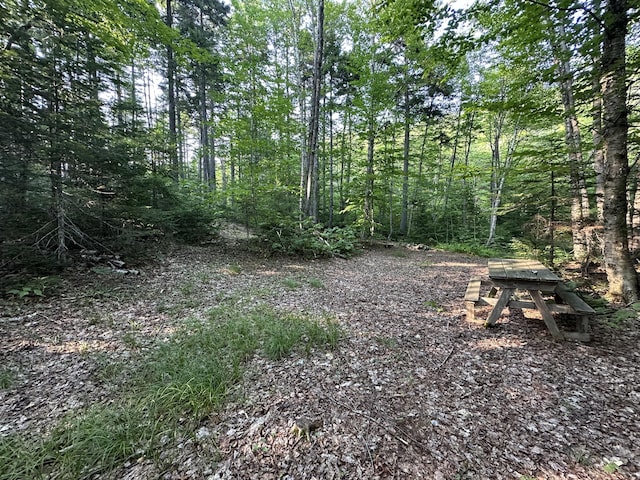 M08LOT32 Main St, Sandy River Plt, ME 04970 - photo 7